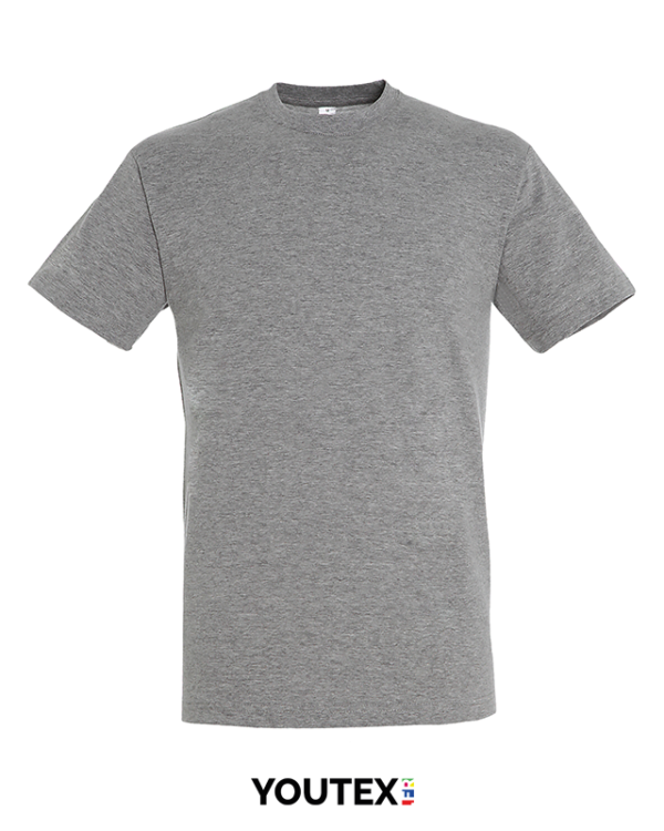 t-shirt regent gris chiné